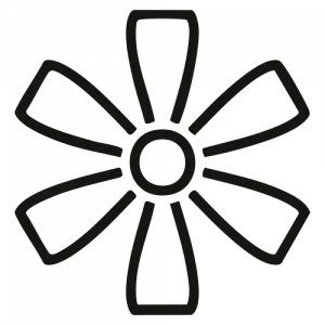 Type 6 pales