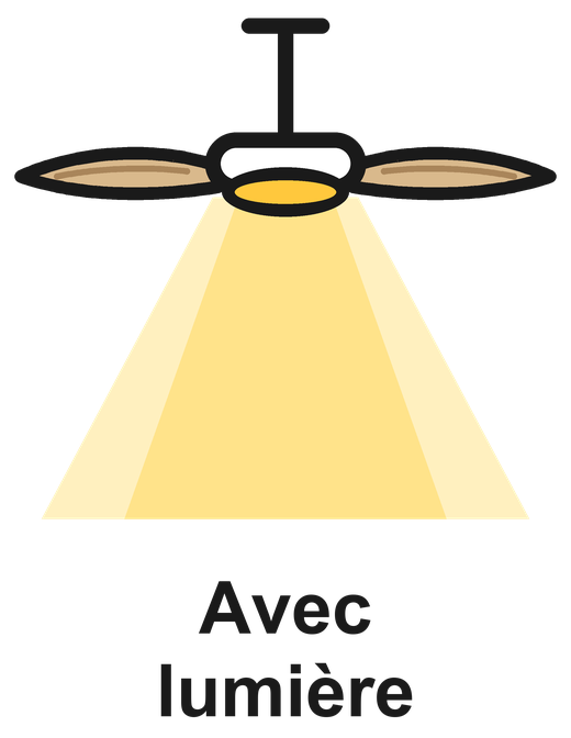 Avec lumière LED